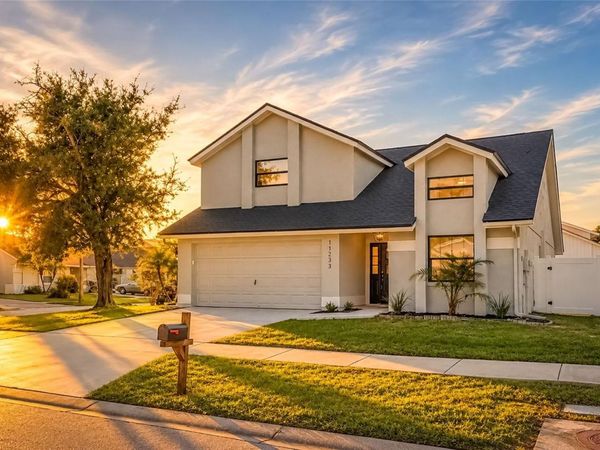 11233 ELMFIELD DRIVE , TAMPA, FL 33625