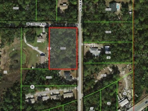 6100 W CARTER ROAD , HOMOSASSA, FL 34448