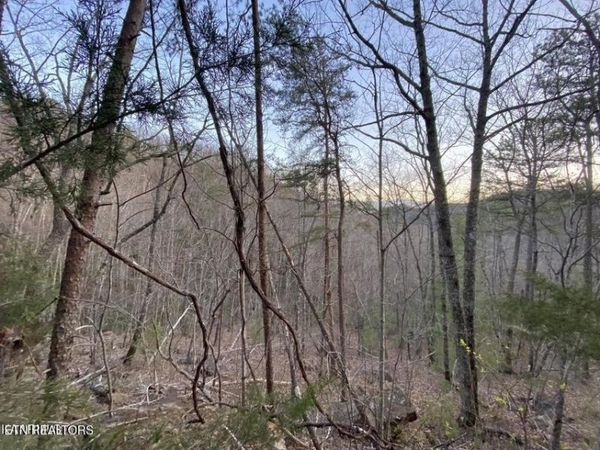 0 Beechwood St , Unit 24&29&44, Sevierville, TN 37876