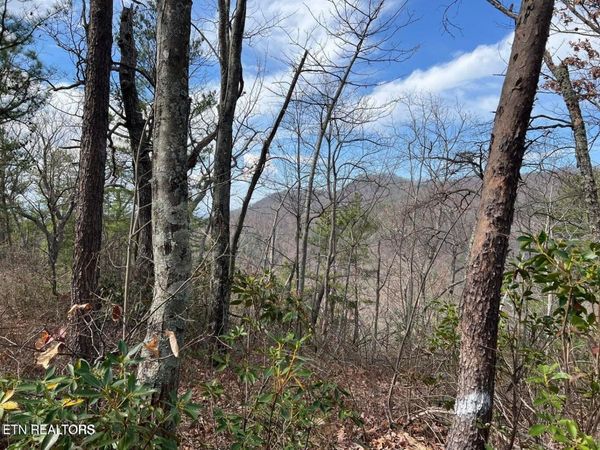 0 Chestnut Ridge Court , Unit 10-11, Sevierville, TN 37876