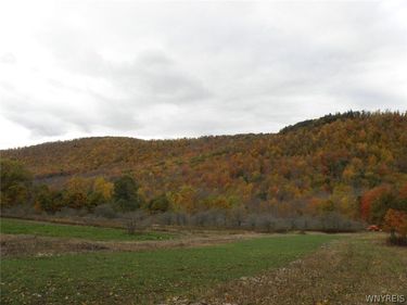 Gregory Holw Road , Hamden, NY 13782
