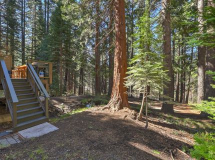 1468 June Way, South Lake Tahoe, CA 96150 Photo