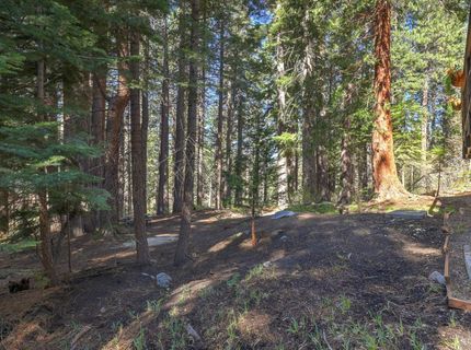 1468 June Way, South Lake Tahoe, CA 96150 Photo