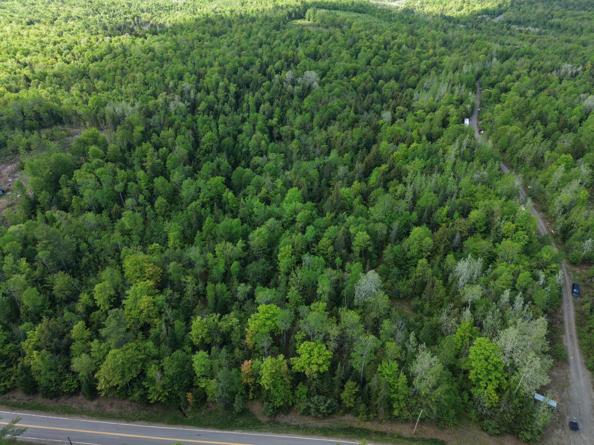 Map5lot3-4 Parkman Road, Wellington, ME 04942 Main Photo