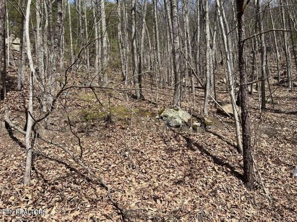 0 Clingmans View , Unit 18, Sevierville, TN 37876