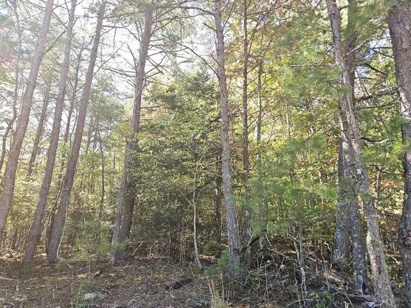 LOT 12 Deer Springs Road, Morganton, GA 30560