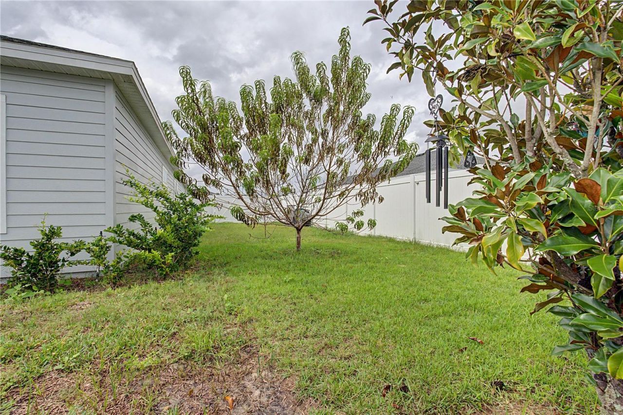 491 NW 4th Terrace, Williston, FL 32696 Photo