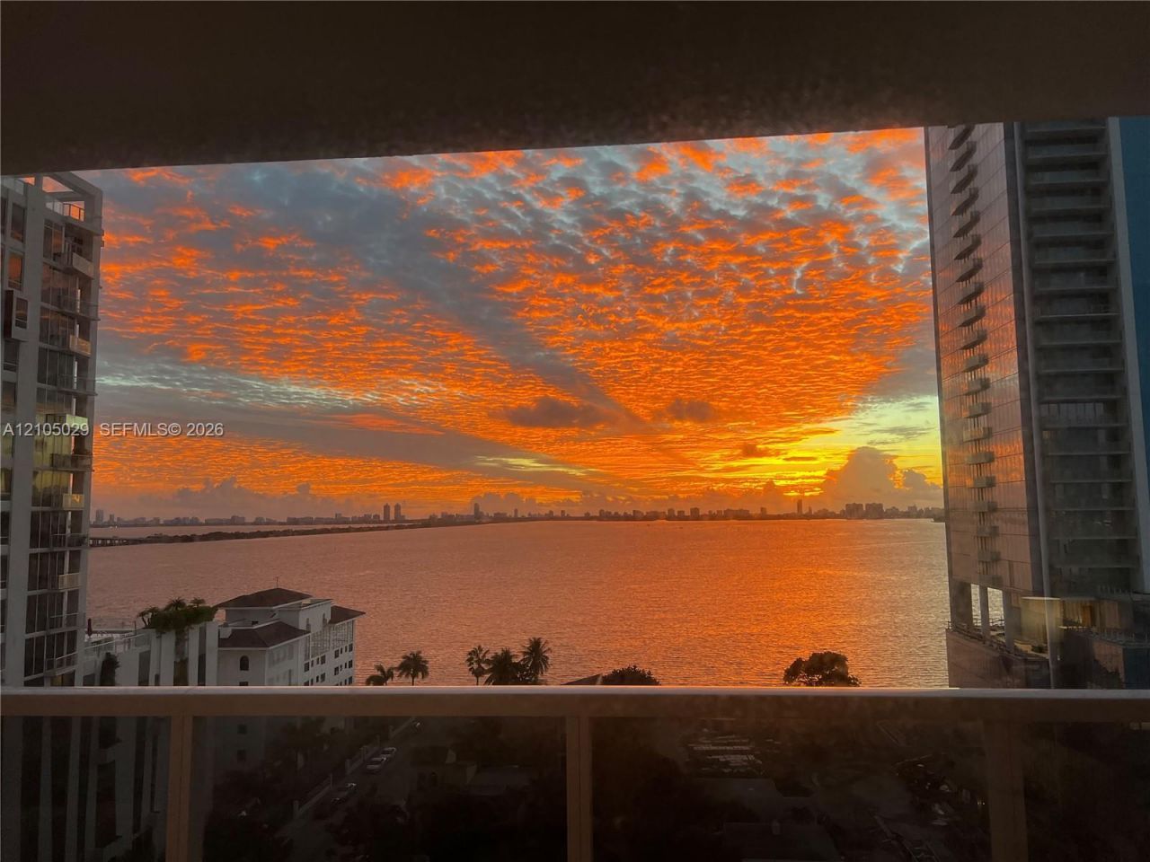 600 NE 27th St, Unit 1203, Miami, FL 33137 Photo