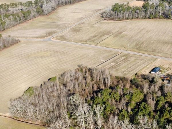 TBD Pinckney Rd. , Nichols, SC 29581