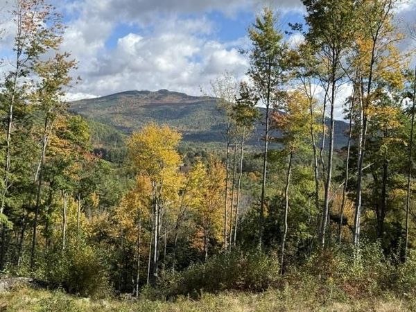 50 Jacob Hall Farm Road, Unit Lot #8, Rumney, NH 03266