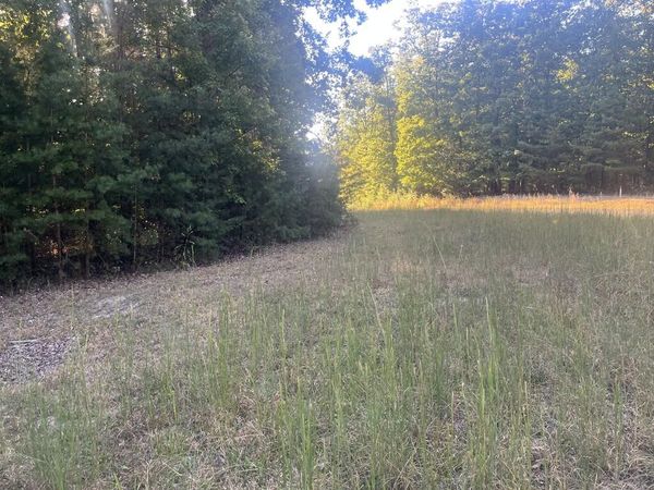 0 Cougar Drive, Spencer, TN 38585