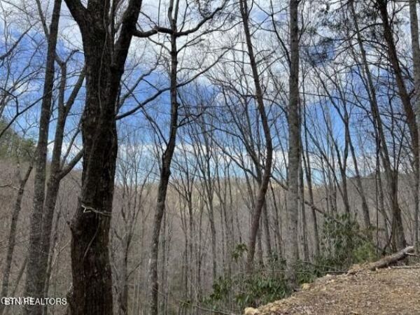 0 John Sevier Drive , Unit 17, Sevierville, TN 37876