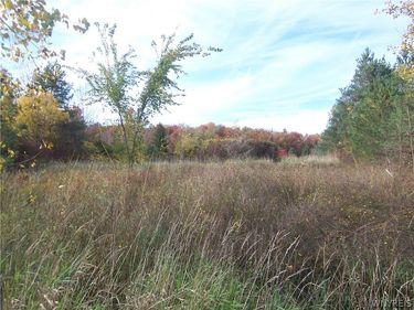 Lot 1 Colony Run, Alexander, NY 14005