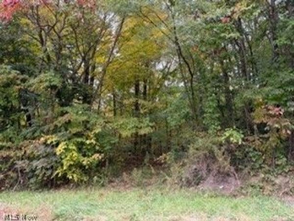 37806 Butcher Road , Leetonia, OH 44431