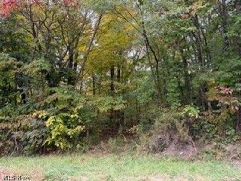 37806 Butcher Road, Leetonia, OH 44431 Photo 1