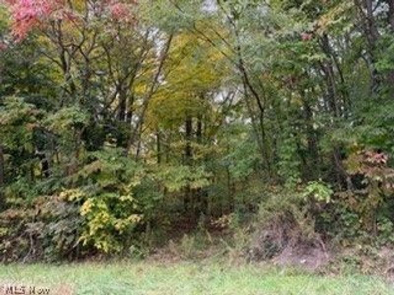 37806 Butcher Road, Leetonia, OH 44431 Photo 2