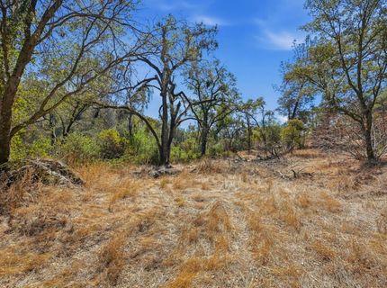 12333 Angel Wing Ln, Smartville, CA 95977 Photo