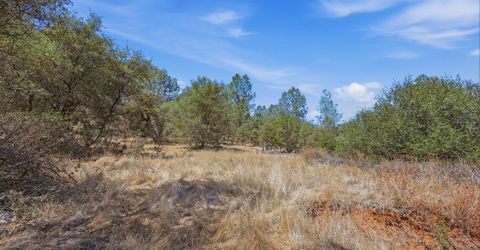 12333 Angel Wing Ln, Smartville, CA 95977 Photo