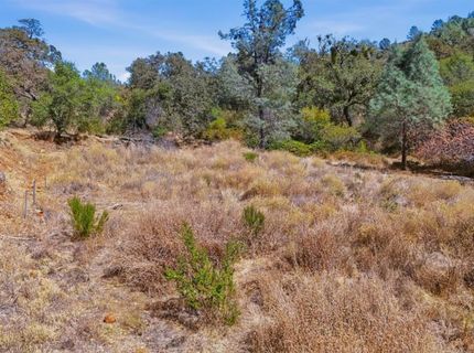12333 Angel Wing Ln, Smartville, CA 95977 Photo