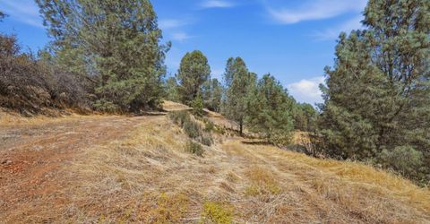 12333 Angel Wing Ln, Smartville, CA 95977 Photo