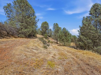 12333 Angel Wing Ln, Smartville, CA 95977 Photo