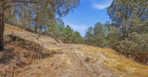 12333 Angel Wing Ln, Smartville, CA 95977 Photo