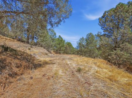 12333 Angel Wing Ln, Smartville, CA 95977 Photo