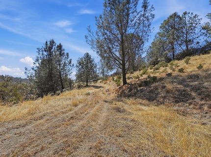 12333 Angel Wing Ln, Smartville, CA 95977 Photo