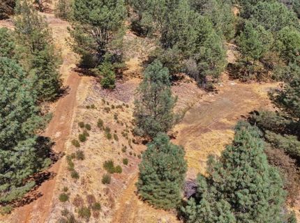12333 Angel Wing Ln, Smartville, CA 95977 Photo
