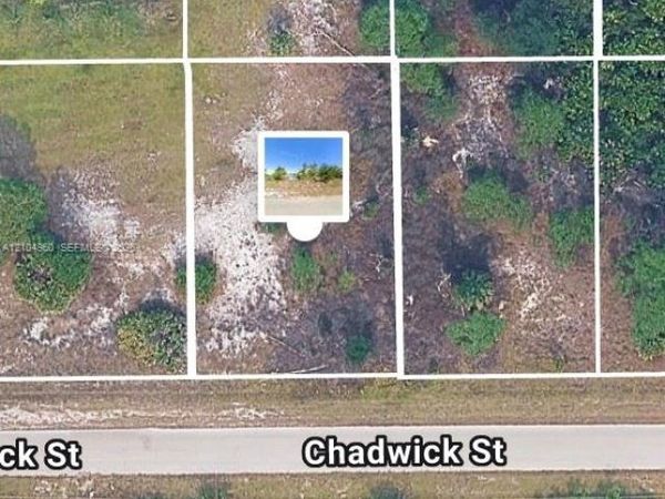 ?1043 Chadwick st , Lehigh Acres, FL 33974