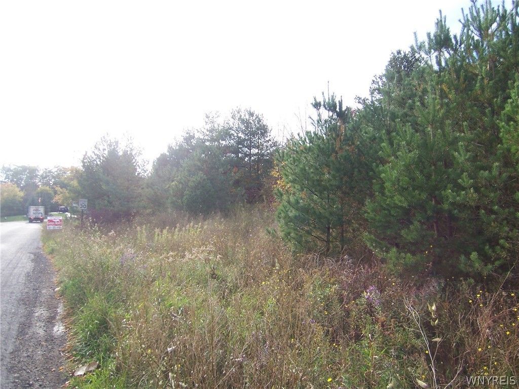 Lot 2 Colony Run, Alexander, NY 14005 Main Photo
