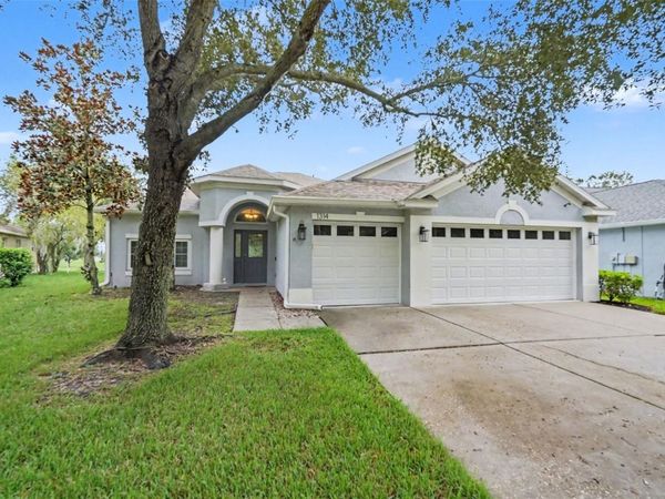 1314 EMERALD HILL WAY , VALRICO, FL 33594