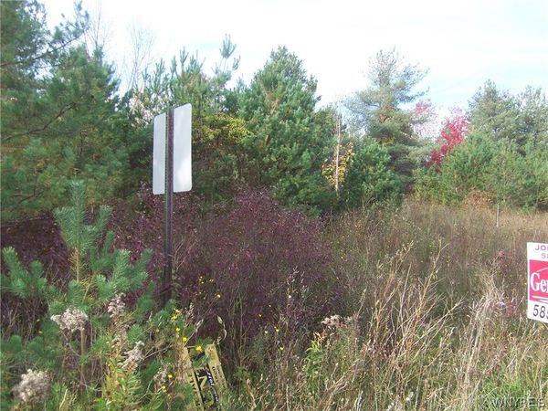 Lot 3 Colony Run, Alexander, NY 14005