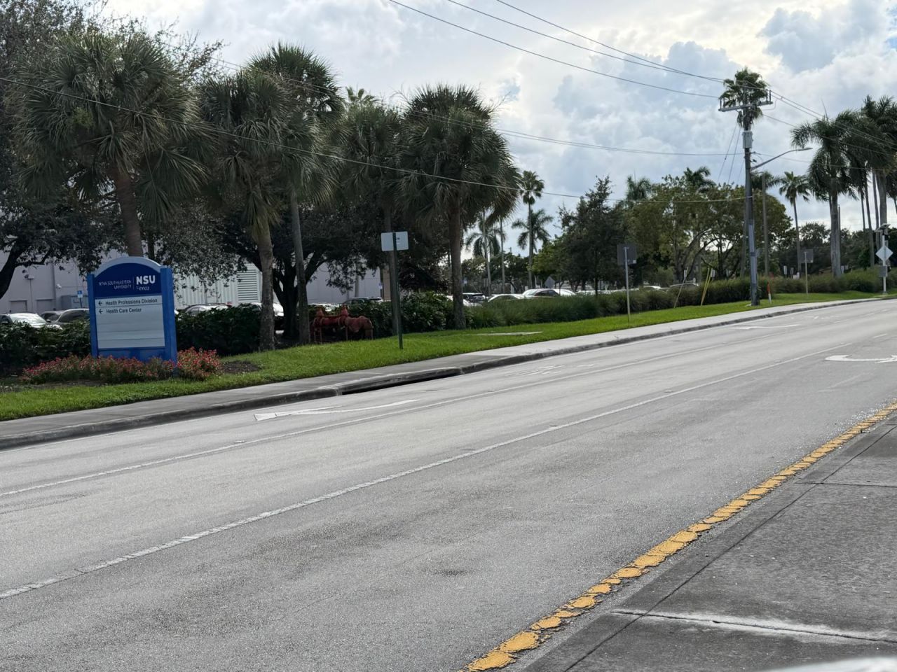 2926 S University Drive, Unit 6105, Davie, FL 33328 Photo