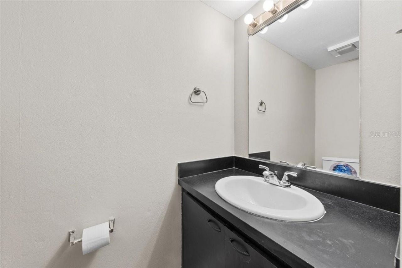 7903 Cedar Drive , Temple Terrace, FL 33637 Photo