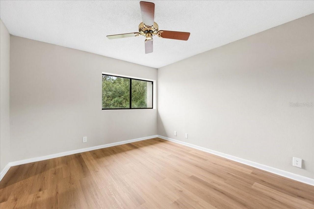 7903 Cedar Drive , Temple Terrace, FL 33637 Photo