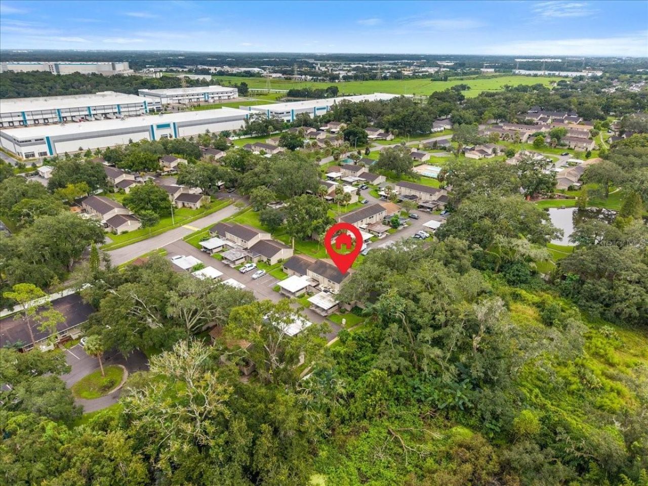 7903 Cedar Drive , Temple Terrace, FL 33637 Photo