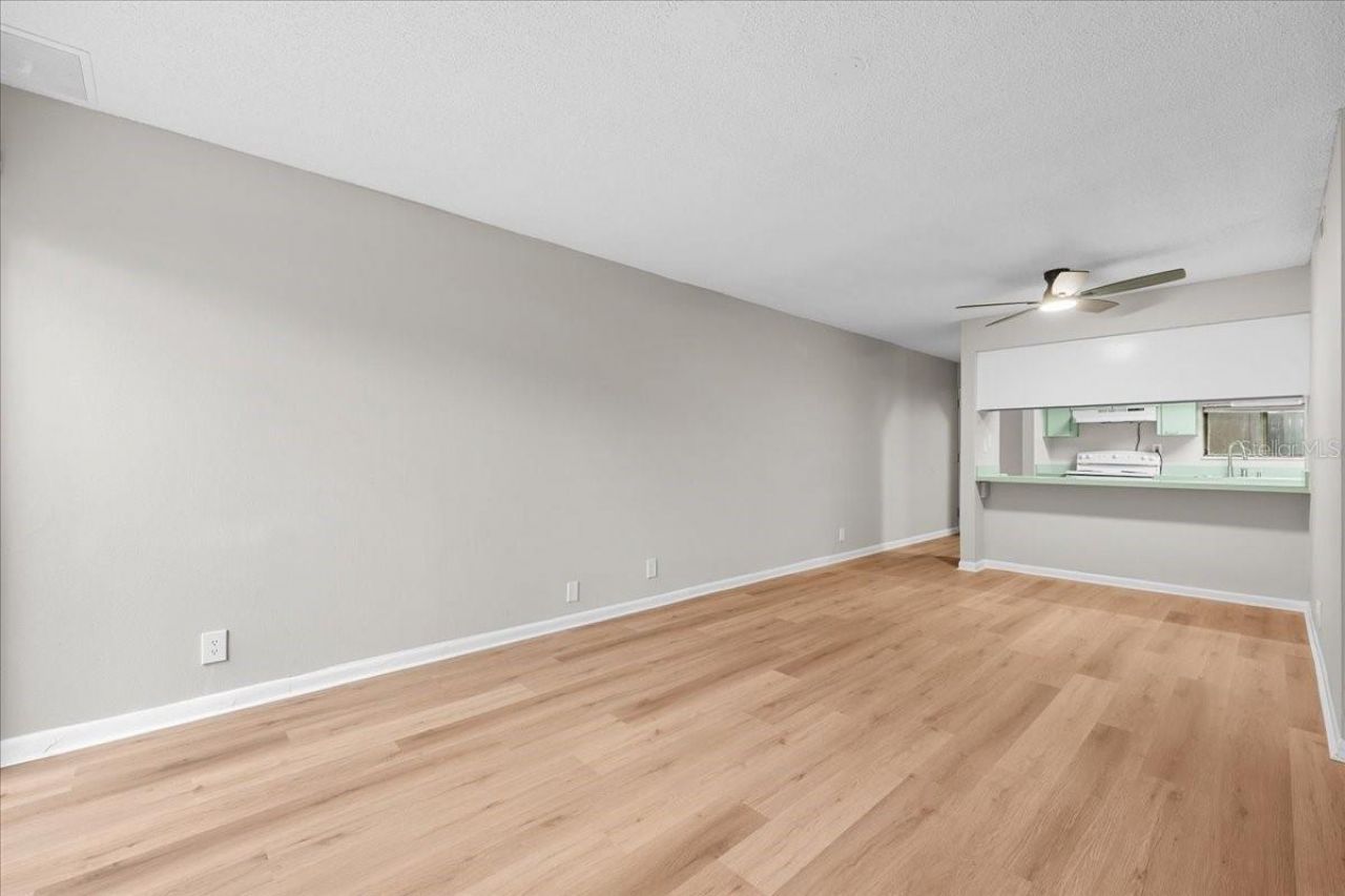 7903 Cedar Drive , Temple Terrace, FL 33637 Photo