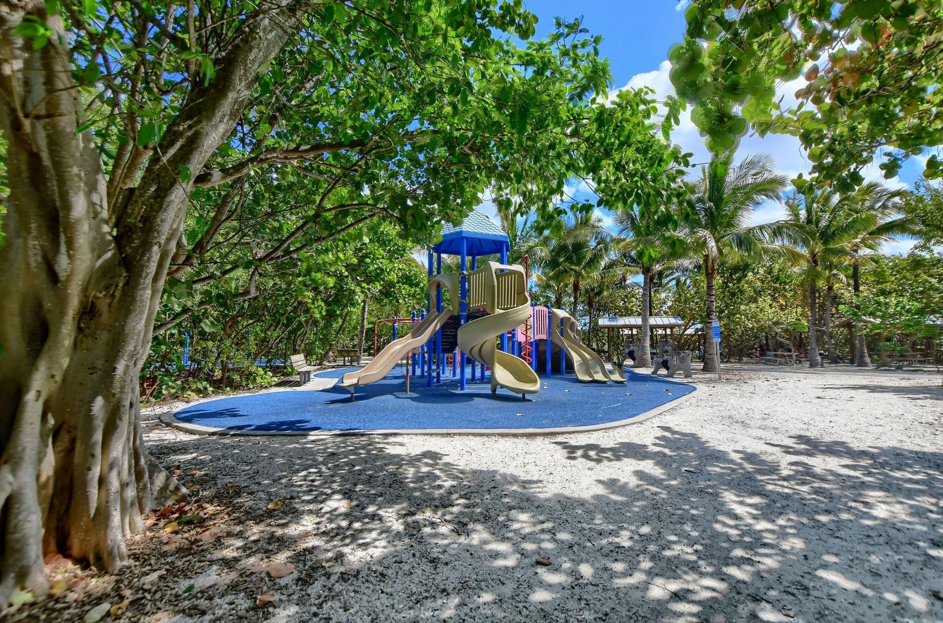 800 E Camino Real, Unit 305, Boca Raton, FL 33432 Photo