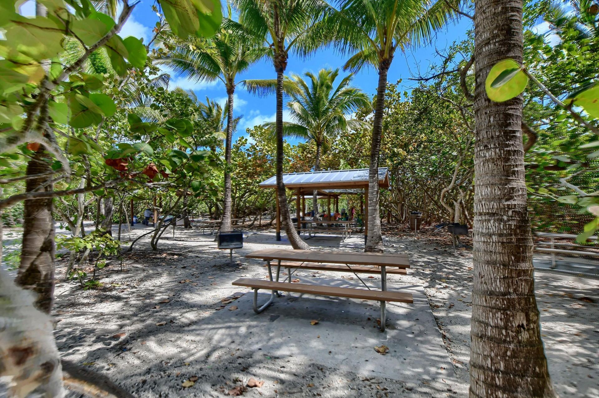 800 E Camino Real, Unit 305, Boca Raton, FL 33432 Photo