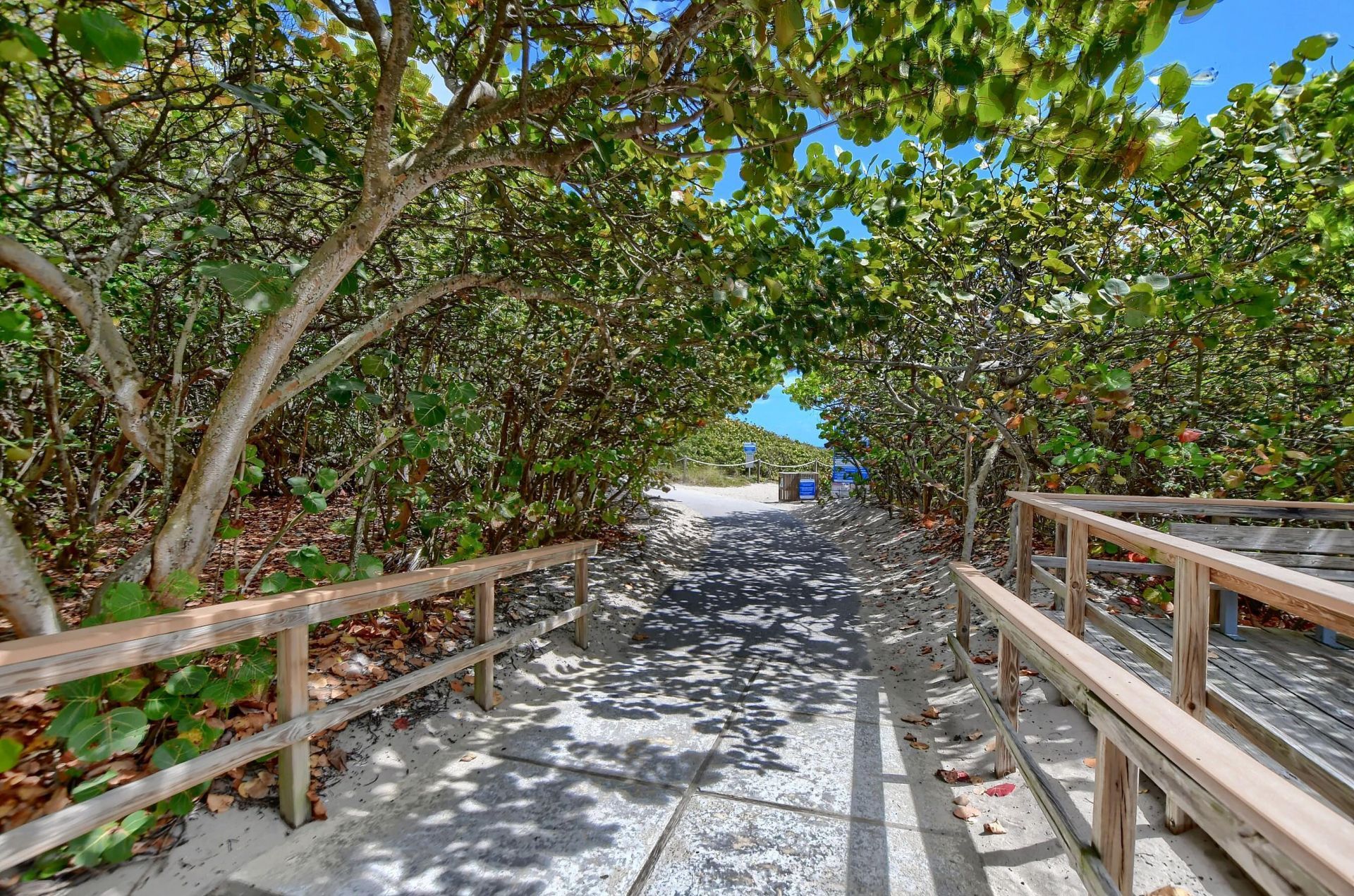800 E Camino Real, Unit 305, Boca Raton, FL 33432 Photo