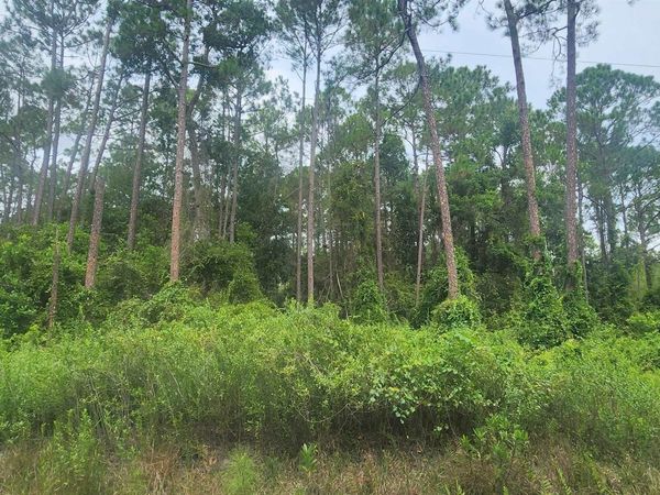 220 2Nd St, Georgetown, FL 32139