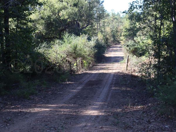 Maben-Bell Schoolhouse Road, Maben, MS 39755