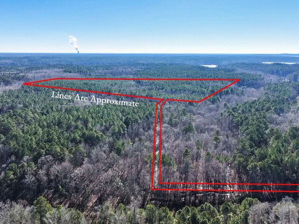 Off J B Morgan Road , Apex, NC 27502