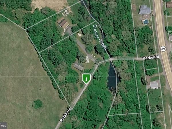 74 PARKS ROAD , OAKLAND, MD 21550