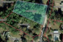 109 Summer Duck Lane photo 4