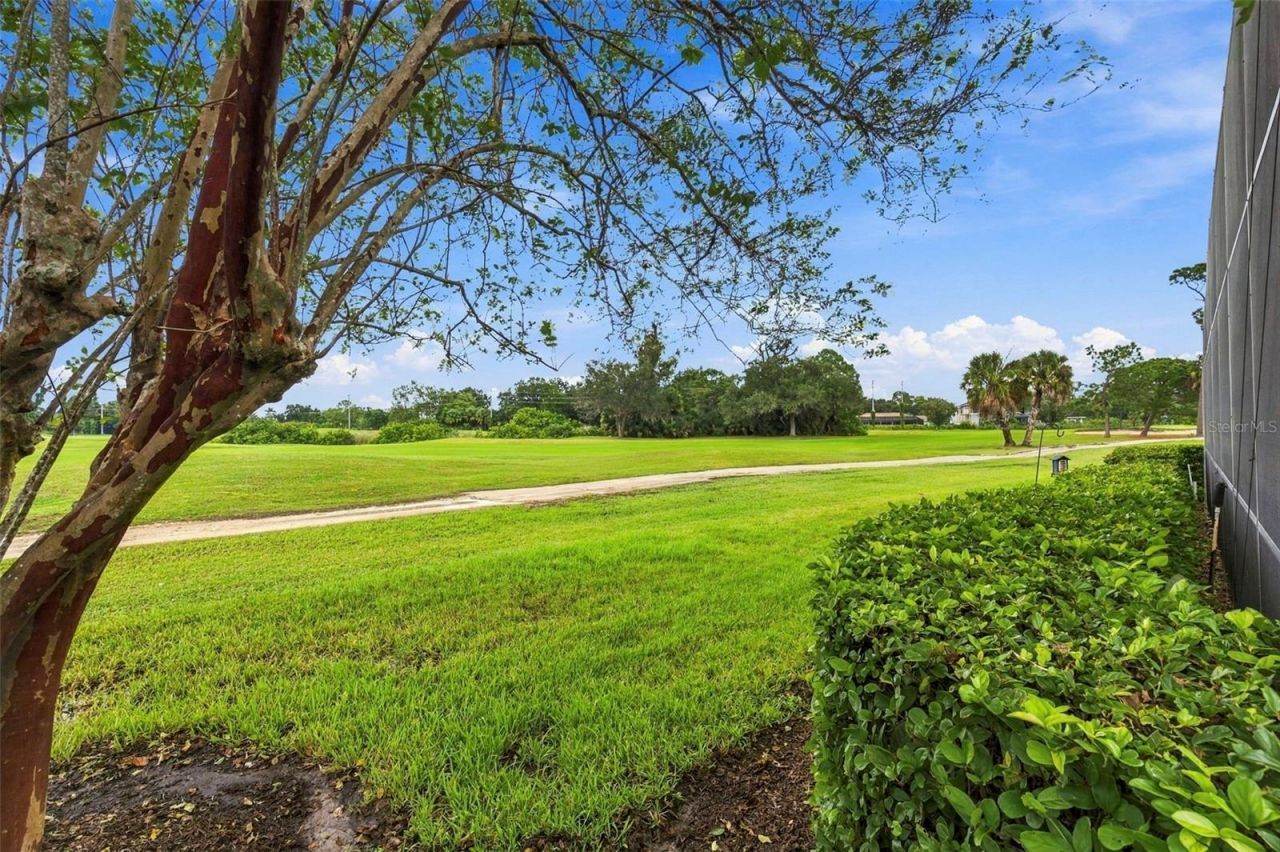 9925 Sago Point Drive, Seminole, FL 33777 Photo