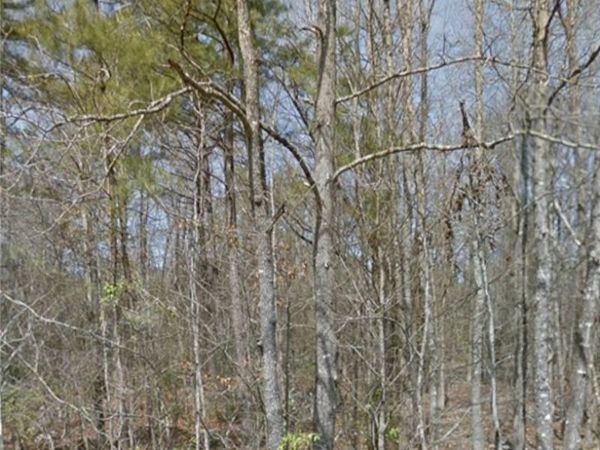 Lot 019 W Burnett , Pine Bluff, AR 71603