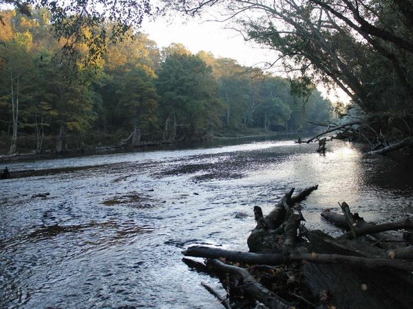 000 Ramsey Landing Rd , Pangburn, AR 72121
