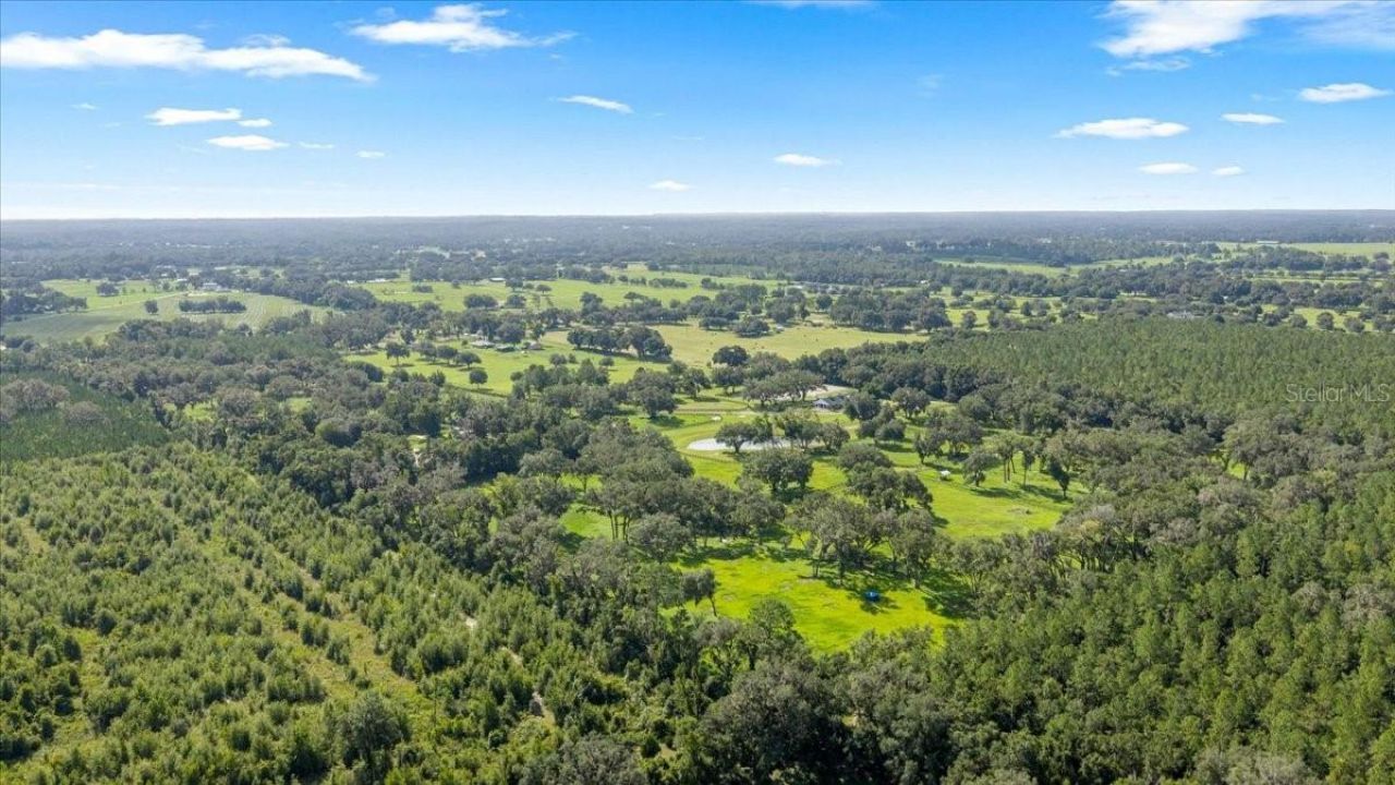 11140 NW 160th Avenue, Morriston, FL 32668 Photo